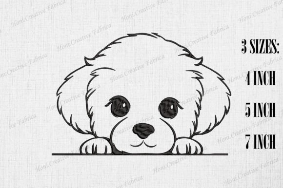 Review: Cute Bichon Frise Dog Peeking Wall Design